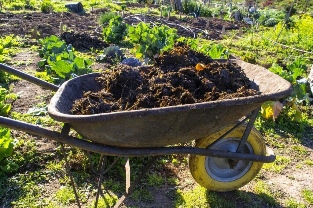 How to Improve Garden Soil With Amendments