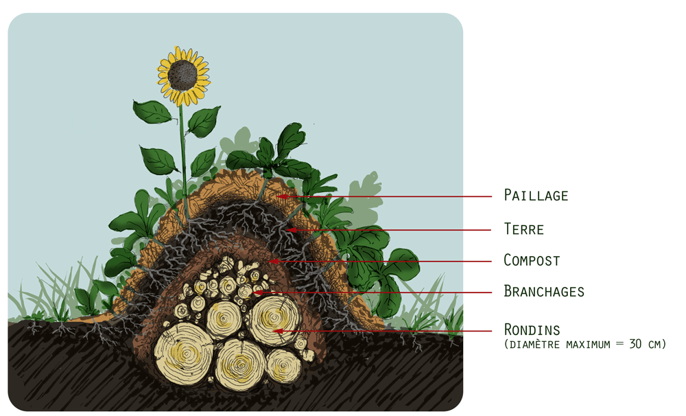 How to Start Your Permaculture Garden: Beginner's 