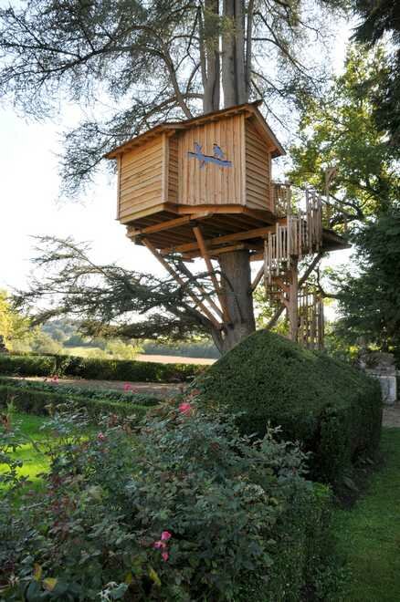 How to Build a Tree House to Escape