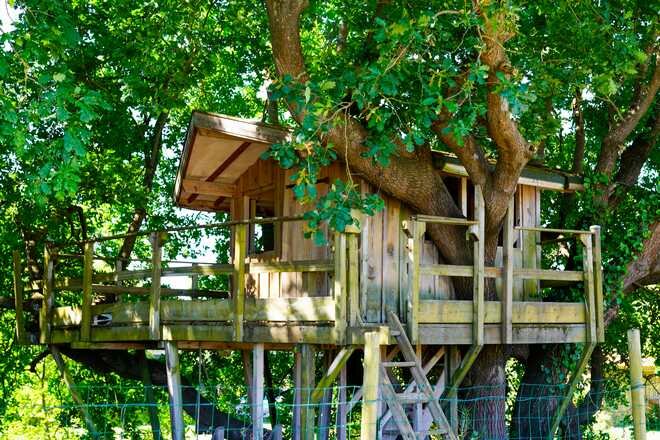 How to Build a Tree House to Escape
